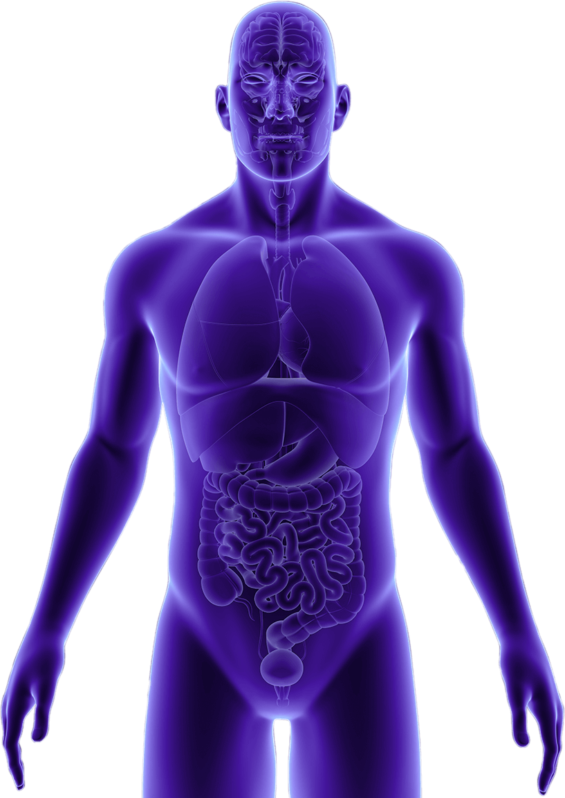 human_body_image