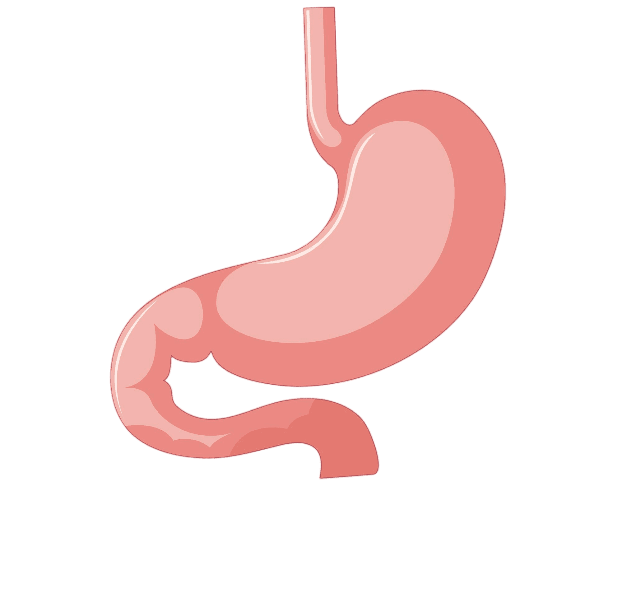 Stomach Condition